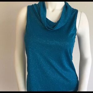 Sparkling Dress Barn Blue Top Size Small Petite